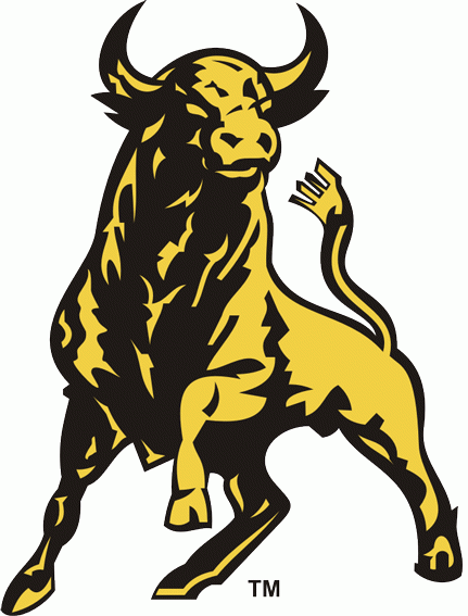 Belleville Bulls 1981-pres alternate logo v2 iron on transfers for clothing